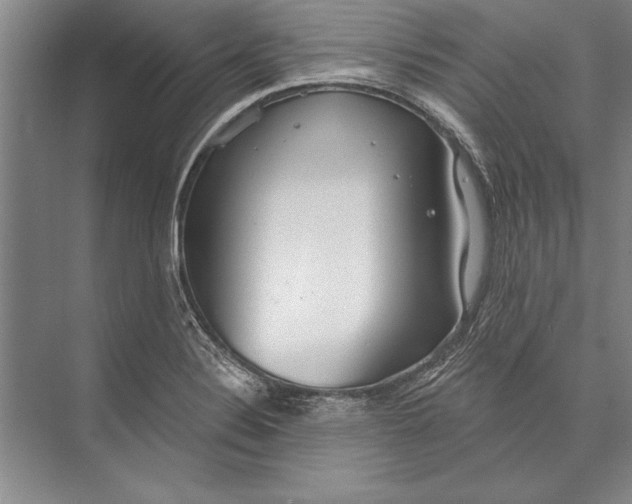 X0000074941324200609221655