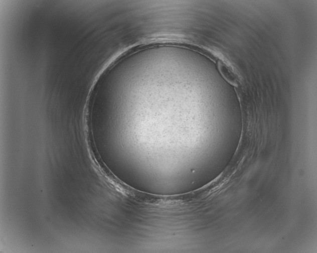 X0000074941325200609221655