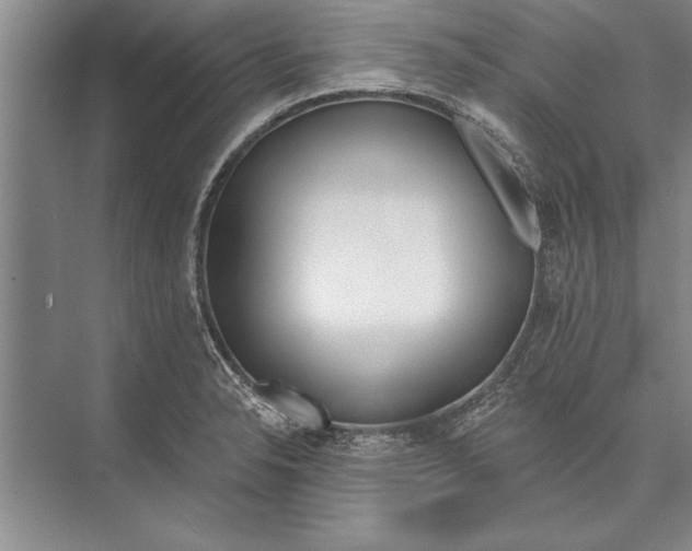 X0000074941326200609221655