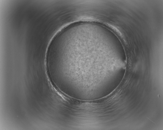 X0000074941327200609221655