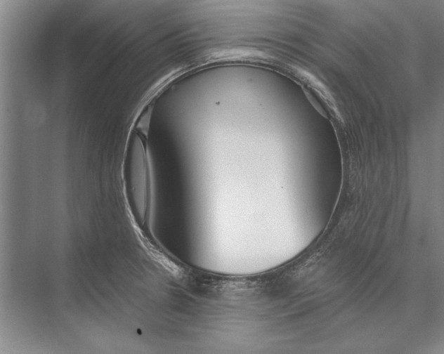 X0000074941330200609221655