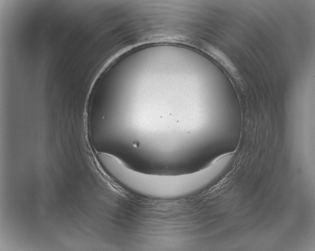 X0000074941332200609221655