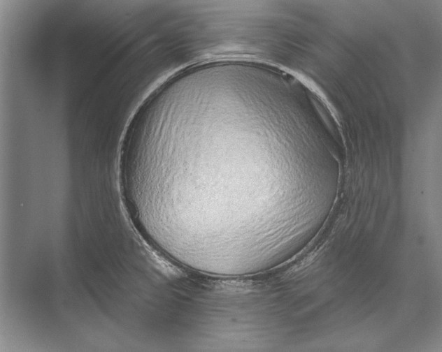 X0000074941333200609221655