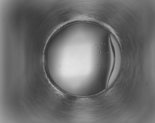 X0000074941335200609221655