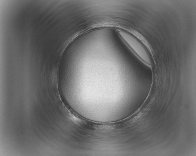 X0000074941337200609221655