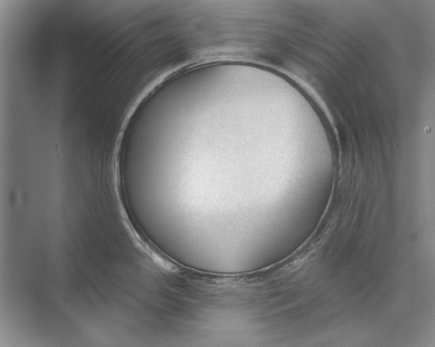 X0000074941341200609221655