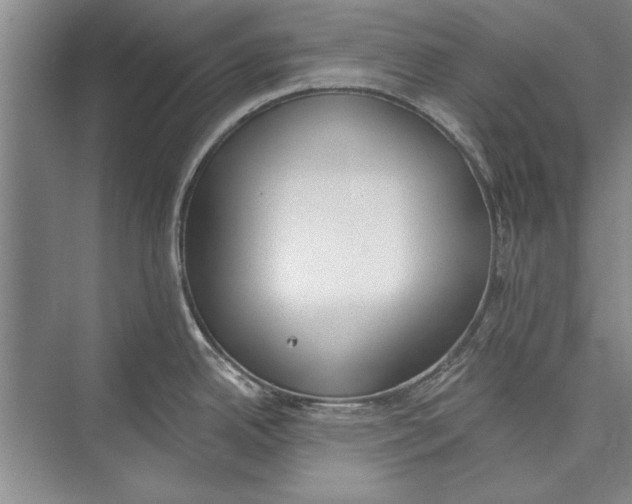 X0000074941342200609221655