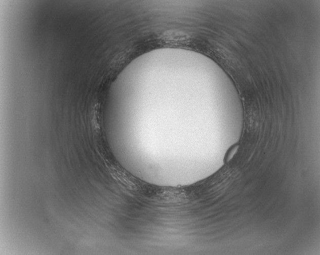 X0000074941346200609221654