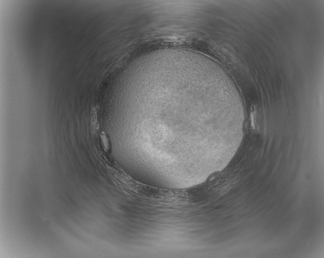 X0000074941347200609221654