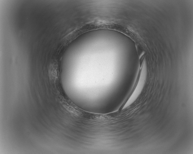 X0000074941348200609221654