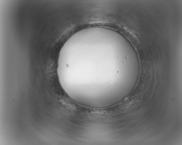 X0000074941351200609221654