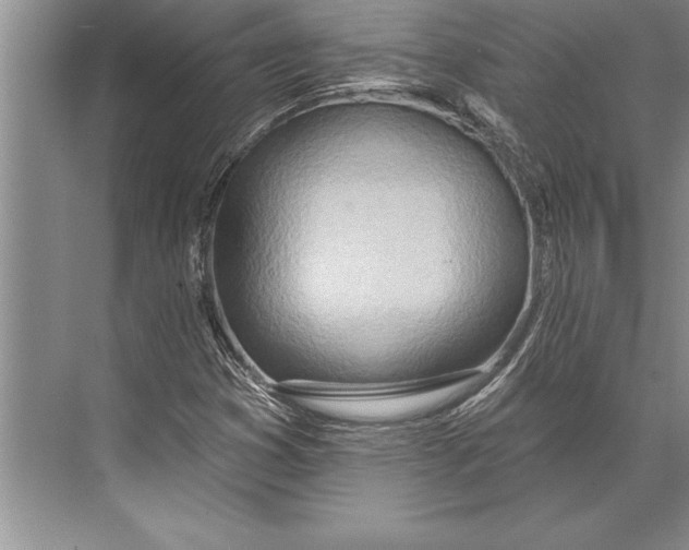 X0000074941353200609221654