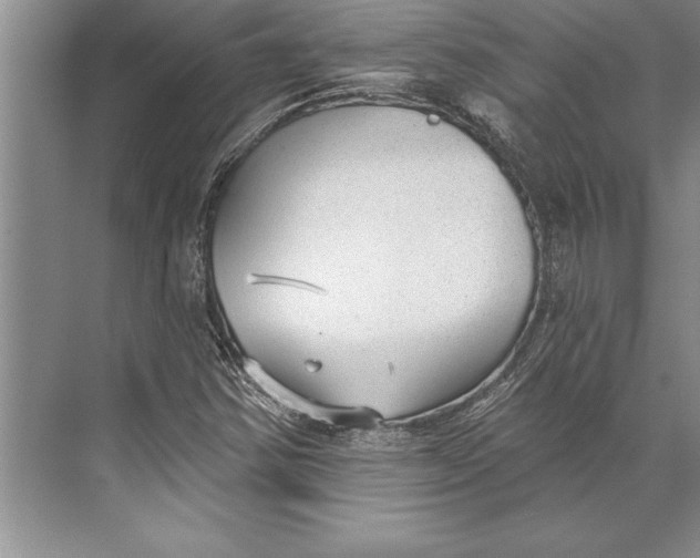 X0000074941354200609221654