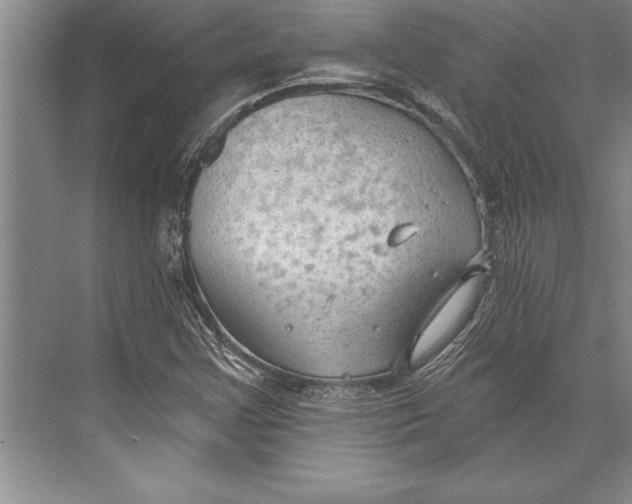 X0000074941355200609221654