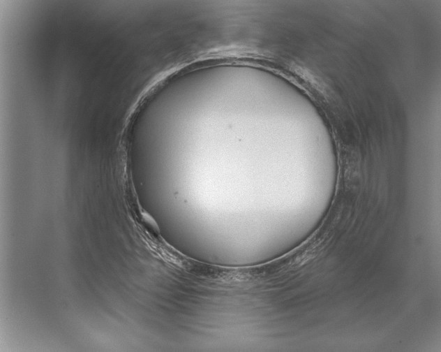 X0000074941358200609221654