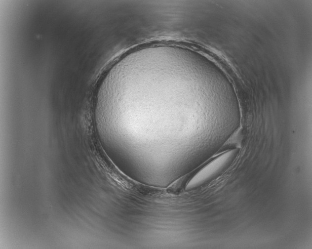 X0000074941359200609221654