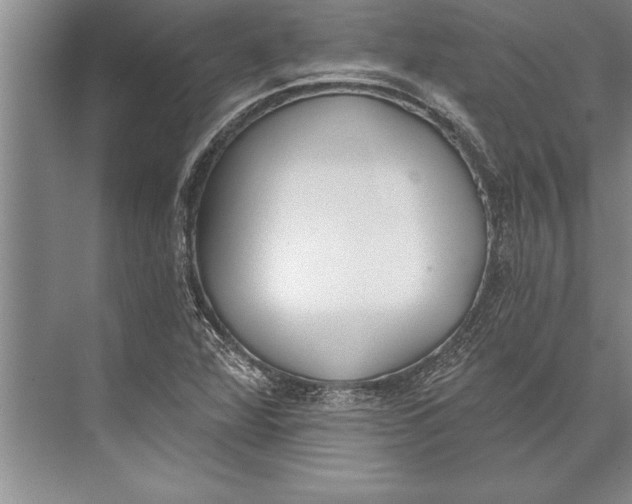 X0000074941360200609221654