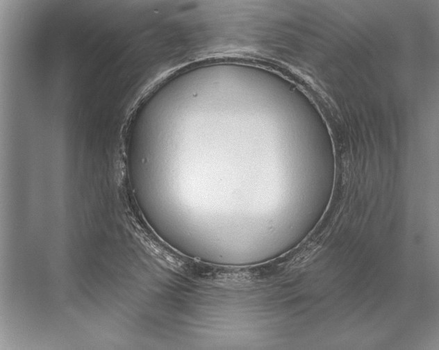 X0000074941363200609221654