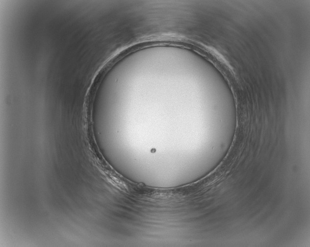 X0000074941364200609221654