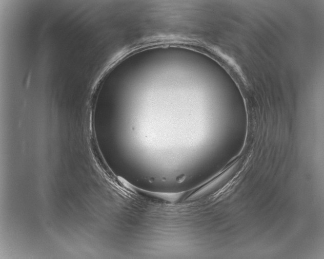 X0000074941365200609221654