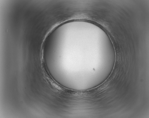 X0000074941366200609221654