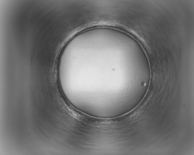 X0000074941367200609221654