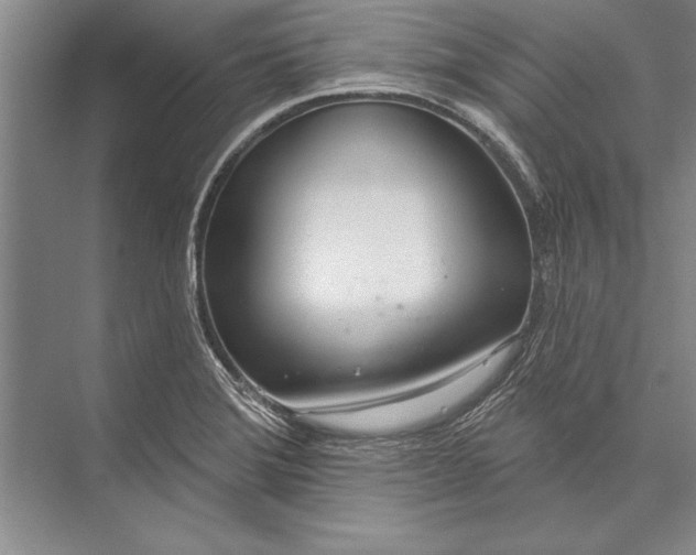 X0000074941372200609221654