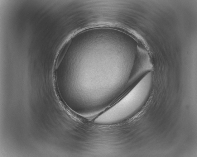 X0000074941373200609221654