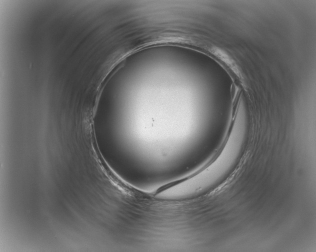 X0000074941377200609221654