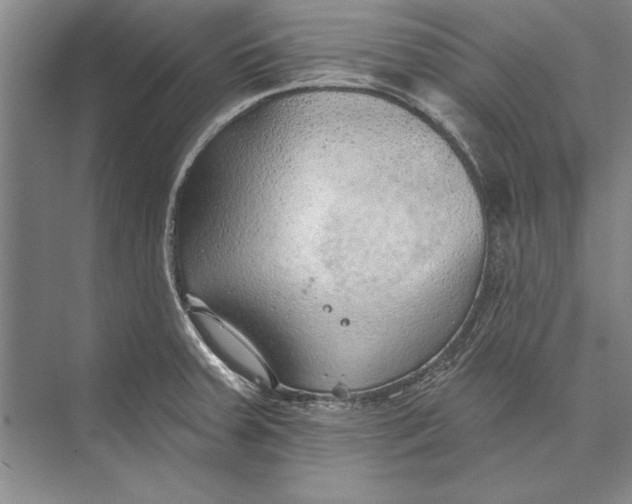 X0000074941379200609221654