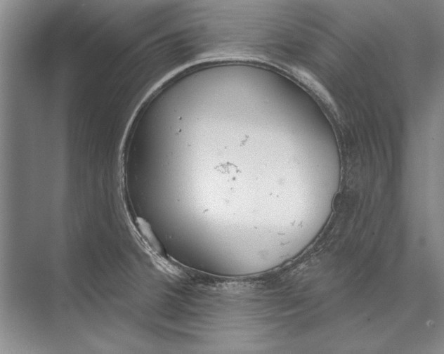 X0000074941380200609221654