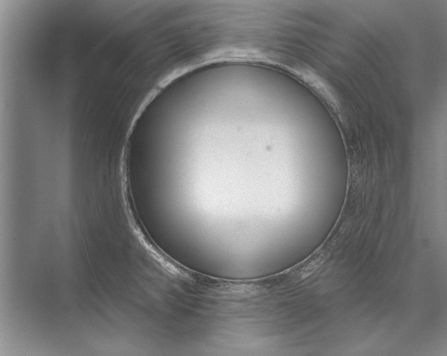 X0000074941382200609221654