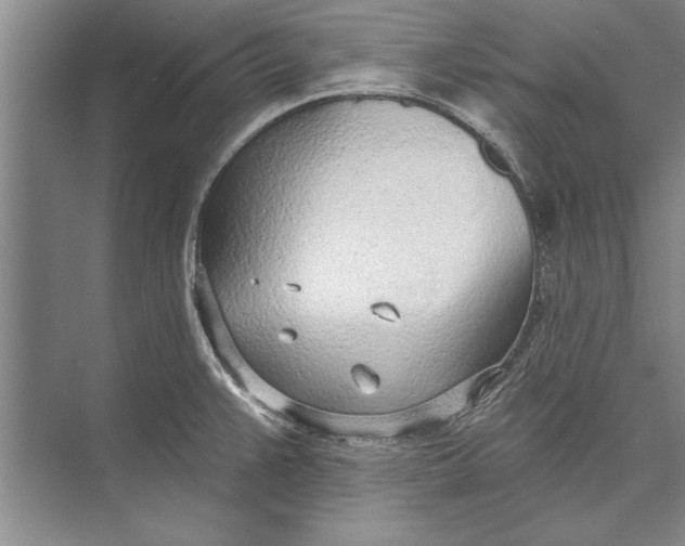 X0000074941383200609221654