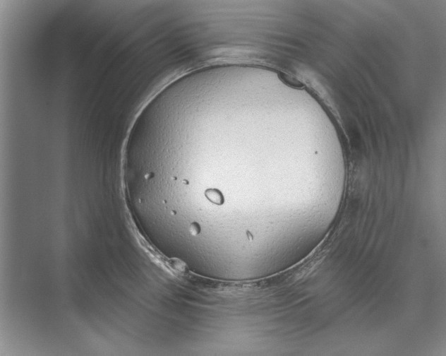 X0000074941386200609221653