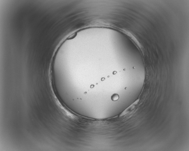 X0000074941387200609221653