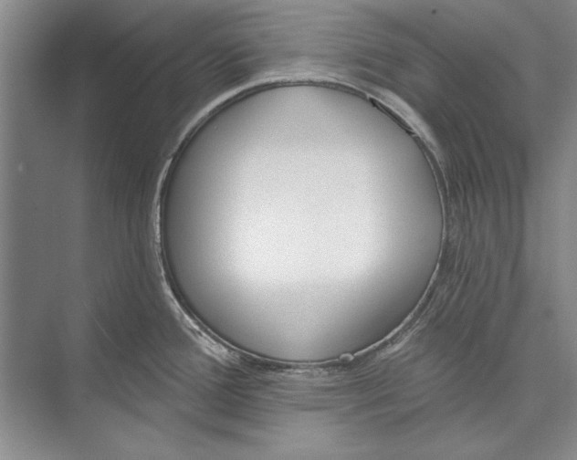 X0000074941388200609221653