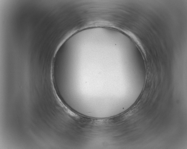 X0000074941390200609221653