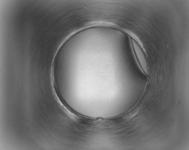 X0000074941391200609221653