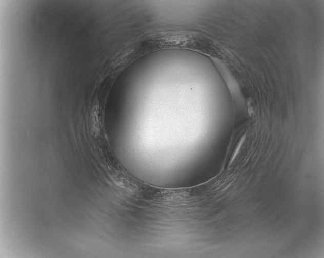 X0000074941394200609221653