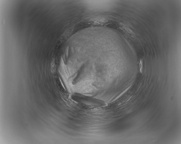 X0000074941395200609221653