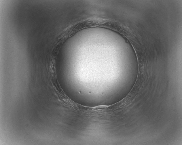 X0000074941397200609221653