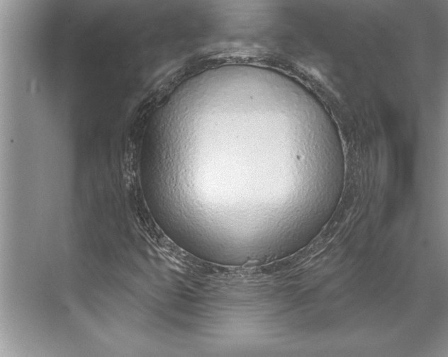 X0000074941399200609221653