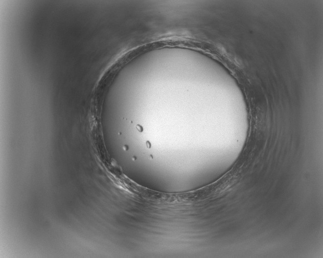 X0000074941400200609221653