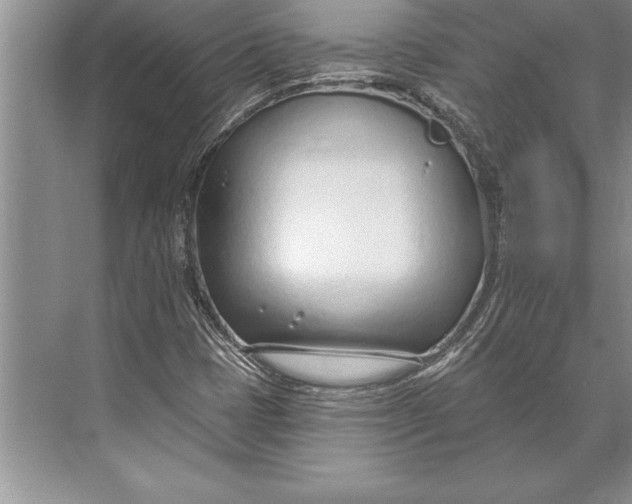 X0000074941401200609221653