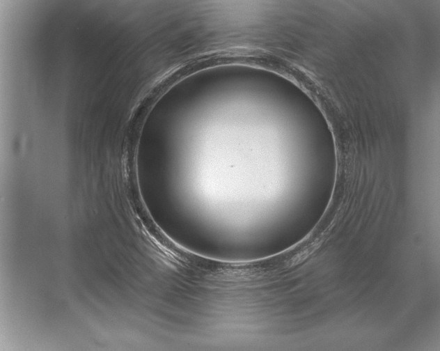 X0000074941402200609221653