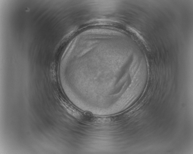 X0000074941403200609221653