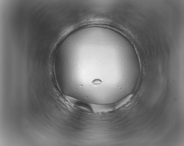 X0000074941405200609221653