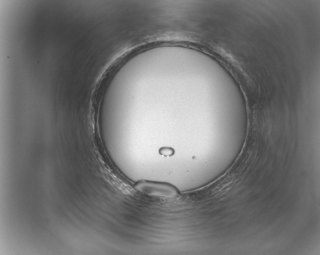 X0000074941408200609221653