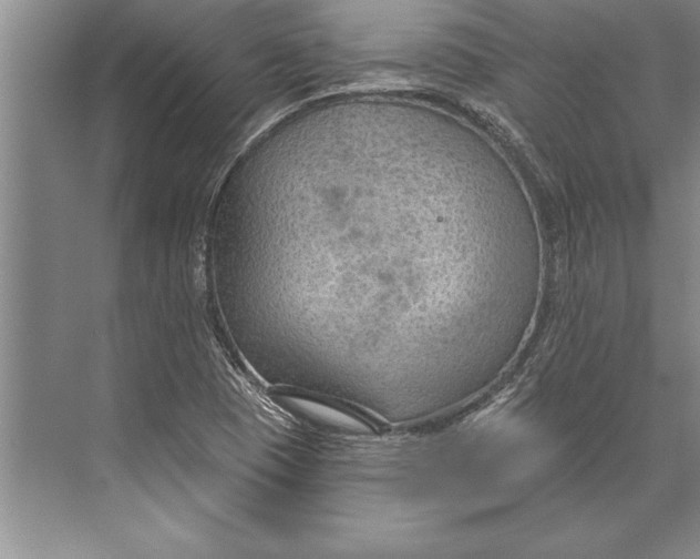 X0000074941409200609221653