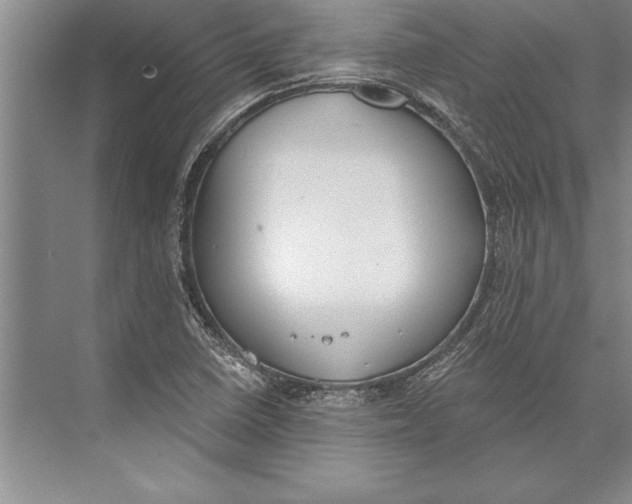 X0000074941410200609221653